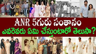 ANR 5గురు సంతానం ఎవరెవరు ఏమి చేస్తుంటారో తెలుసా  akkineni family tree [upl. by Manaker494]