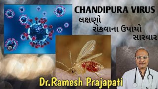 ચાંદીપુરા વાયરસસેન્ડફલાયMyDoctorMyFriendડૉરમેશ પ્રજાપતિChandipuraVirusSandflyserious disease [upl. by Nirac]