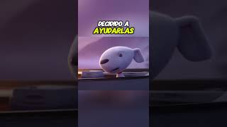 quot¡El Perrito Heroico 🐶 Ayuda a una Garza y Sus Críasquot youtubeshorts [upl. by Yrolam]