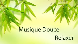 Musique Douce et Nature Pour Relaxer et Dormir [upl. by Ankeny]