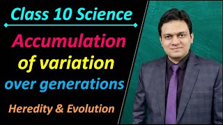 Accumulation of Variation over Generations Class 10 Science Heredity and Evolution [upl. by Acirred]