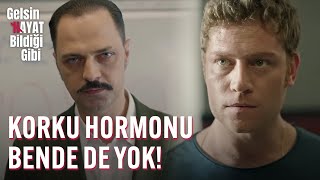 Korku Hormonu Bende De Yok  Gelsin Hayat Bildiği Gibi [upl. by Botzow]