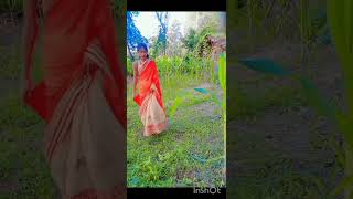 Parikshan karyalay lagati hai sariya resort video [upl. by Aihcrop]