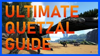 How to tame a Quetzal [upl. by Otreblanauj]