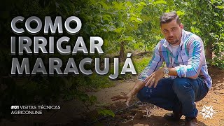 COMO FAZER A IRRIGAÇÃO NO MARACUJÁ  VISITAS TÉCNICAS 01 [upl. by Nonad]