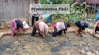 PENGEMBANGAN FUNGSI EDUKASI RUMAH TANI ORGANIK DESA GENTUNGAN MELALUI TEKNOLOGI BIOCHAR [upl. by Seuqram792]