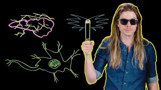 Could the Men in Black Neuralize You Because Science w Kyle Hill [upl. by Rhpotsirhc]