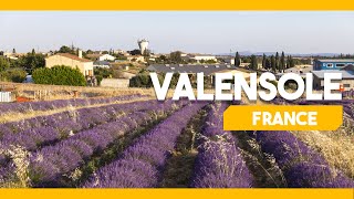 VALENSOLE FRANCE [upl. by Aric]