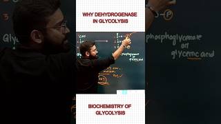 Dehydrogenase  Glycolysis  Respiration  Dr Niladri Deb  ​⁠factionbio1166 [upl. by Boniface322]