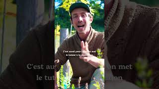 Fautil tuteurer ses arbres forêt jardin permaculture autonomie potager plantes fruitier [upl. by Harned]