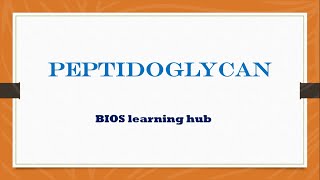 What is peptidoglycan [upl. by Adil]