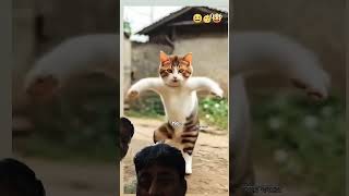 Marga billi danceshotscomedy [upl. by Adiazteb506]