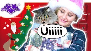 ADVENTSKALENDER UNBOXING MIT MOCHITO 😸 MrsSophia [upl. by Neras]