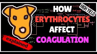 How Hematocrit Affects Coagulation in Polycythemia Citrate overload [upl. by Yornoc314]