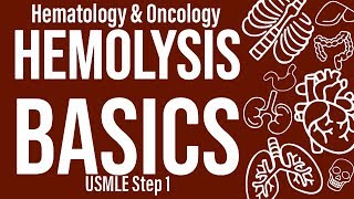 Hemolysis Basics HemeOnc  USMLE Step 1 [upl. by Ynnig]