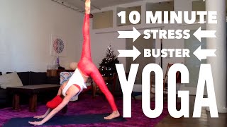 10 Minute Holiday Stress Be Gone Yoga Routine  Tara Stiles [upl. by Lyrradal97]