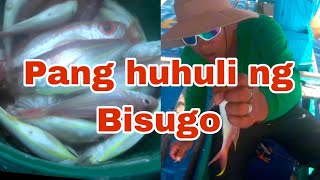 Isdang Bisugo  Pang huhuli fishing fishing fishingvideo viralvideo fish [upl. by Yauqram]