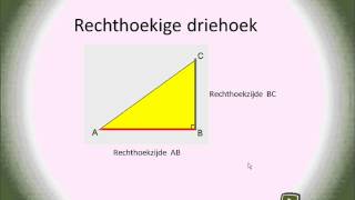 Rechthoekige driehoeken [upl. by Ccasi]