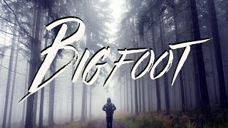 Man has SCARY encounter with Bigfoot while camping [upl. by Stephi]