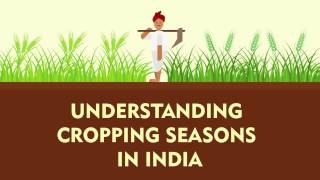 Understanding Cropping Seasons in India  Kharif Rabi Zaid  Factly [upl. by Atolrac851]