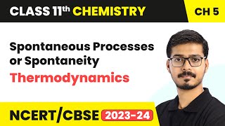 Spontaneous Processes or Spontaneity  Thermodynamics  Class 11 Chemistry Chapter 5 [upl. by Cousins]