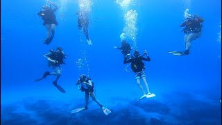 Cozumel Diving 2023 Day 2 [upl. by Whyte888]