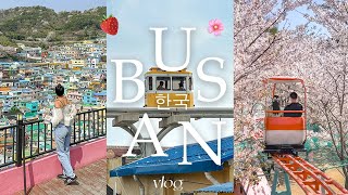 busan in 4 days 🍓 [upl. by Aynotan]