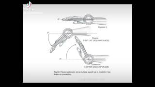 Goniometria de la muñeca [upl. by Yecats908]
