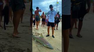 Fishing in Florida 🇺🇸🎣 shark beach welcometothebeach shortsviral [upl. by Ecyt]