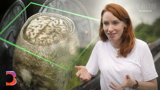 What If Pain Could Be Made Optional  The Future With Hannah Fry [upl. by Kathe]