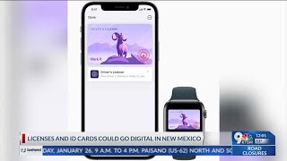 NM mulling digital driver’s licenses IDs under Senate Bill 88 [upl. by Ahseid]