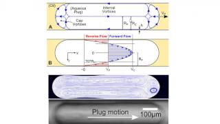 Multiphase CFD for Droplet Based Microfluidics [upl. by Linnea]