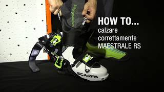 HOW TO … Calzare correttamente MAESTRALE RS [upl. by Aselehc870]