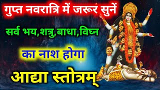 Adya Stotram With Lyrics  शत्रु व भय नाश के लिए सुनें आद्या स्तोत्रम्  Gupt Navratri Adya Stotra [upl. by Akimrej113]