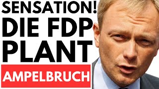 🔥SENSATION FDP BEREITET AMPEL BRUCH VOR  AfD BALD STÄRKSTE PARTEI🔥 [upl. by Yerffej]