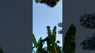 আলিফ লাম মীম এর অর্থ কি alheraislamiccenter subscribe [upl. by Hullda]