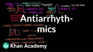 Antiarrhythmics  Circulatory System and Disease  NCLEXRN  Khan Academy [upl. by Tonye]