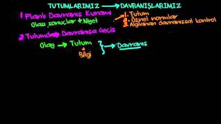 Tutumun Davranışa Etkisi Psikoloji  Davranış [upl. by Odnalro]