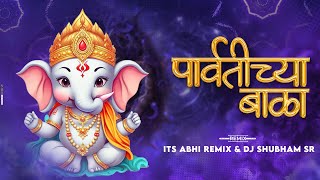 Parvatichya Bala  Its Abhi Remix amp DJ Shubham Sr [upl. by Mauchi]