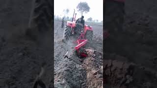 High Power Tractor 480 pulling paloo tractor shortvideo tractor480tractorbelarus510 [upl. by Nonnair]