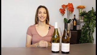 Sancerre vs Sauvignon Blanc [upl. by Ahseikal]