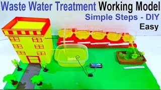 waste water treatment plant working model  inspire science project  DIY  bestoutofwaste  sewage [upl. by Dorena]