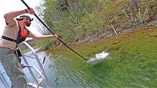 ELECTROFISHING SHOCKING UP BIG BASS With Fish Biologists [upl. by Hedley]