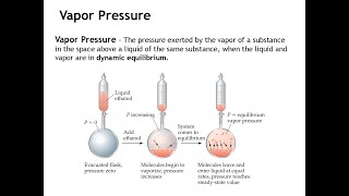 Section 115  Vapor Pressure [upl. by Enneles640]