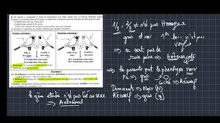 correction de lexercice les lois statistique génétique Mendélienne [upl. by Teyugn]