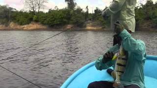 Pesca Llanos Orientales fishing Colombia [upl. by Wawro381]