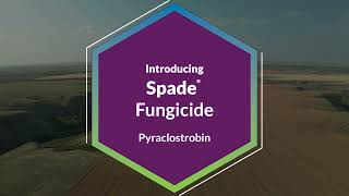 Spade® Fungicide [upl. by Suirada]