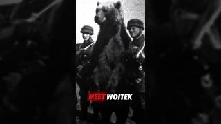 How a Bear Became a WWII Hero 🐻 [upl. by Chil]