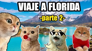 VIAJE A FLORIDA parte 2 meme de gatos [upl. by Nathanson633]