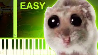 SAD HAMSTER VIOLIN MEME SONG  EASY Piano Tutorial [upl. by Asirap779]